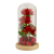 MKM_0457.png
