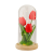 MKM_0455.png