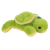 B-3003-5.png