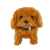 MC-1005-3-B.png
