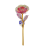 z-08.png