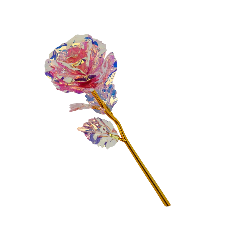 z-09.png