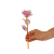 z-10.png