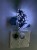 WhatsApp Image 2026-10-21 at 11.52.43 (2).jpeg