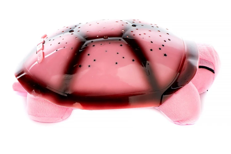 3d55f44df844ab253927bef77b054124