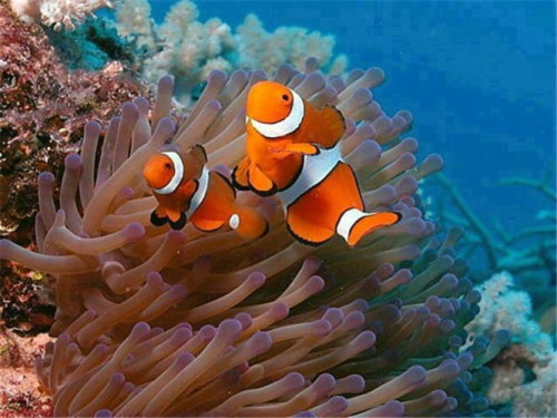 a5813e861b003adb918b0ad386d33cf5