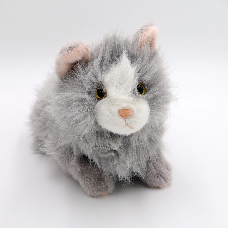 26389afce4e7c020d7bc0b1342c03082