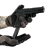 MPK-C12-9.png