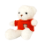 B-2487-5.png