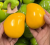 2(1).png
