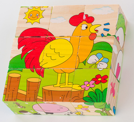 Wooden Animal Educational Blocks