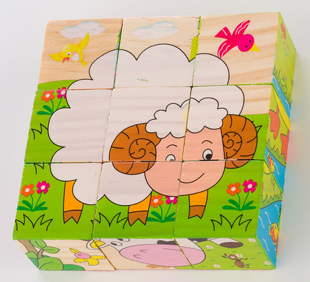 Wooden Animal Educational Blocks